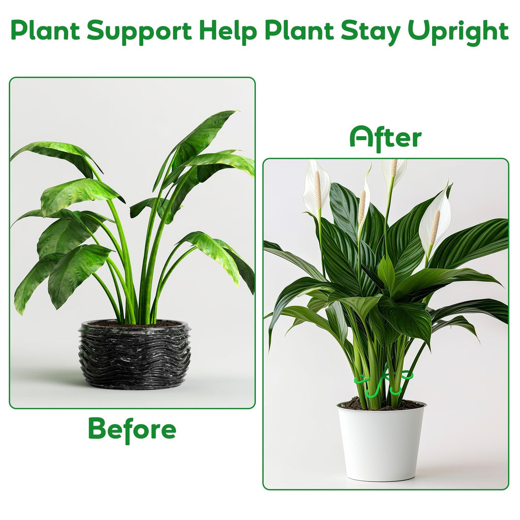 🔥Last Day 49% OFF -🌿Plant Stem Support Set