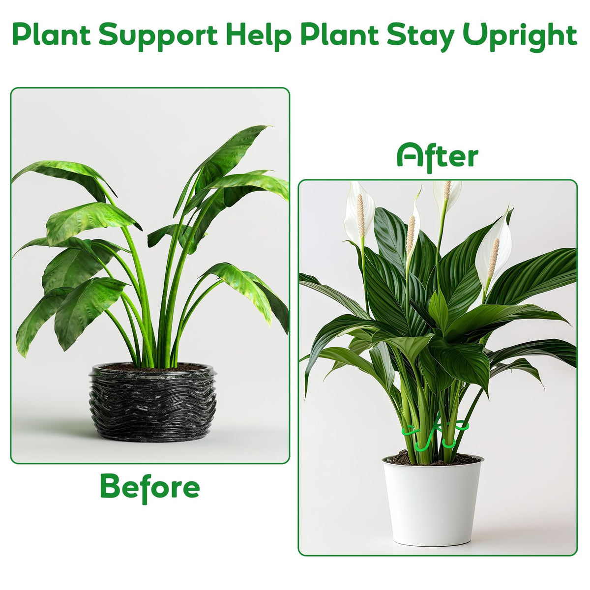 🔥Last Day 49% OFF -🌿Plant Stem Support Set