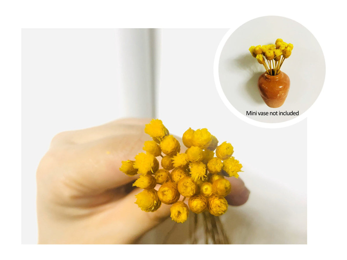 🎁Hot Sale 49% OFF🌸- Mini Vase Fridge Magnet