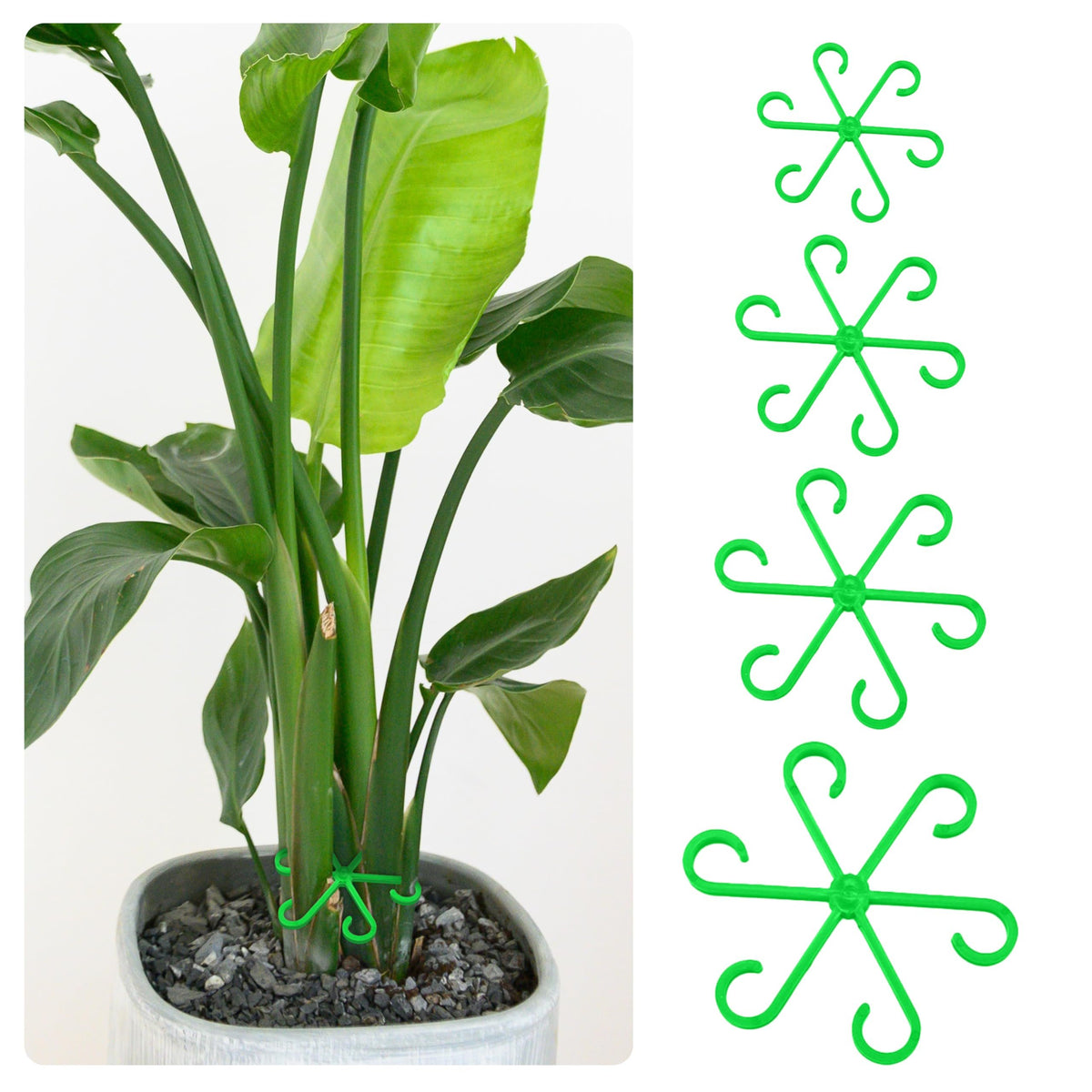 🔥Last Day 49% OFF -🌿Plant Stem Support Set