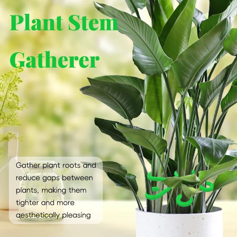 🔥Last Day 49% OFF -🌿Plant Stem Support Set