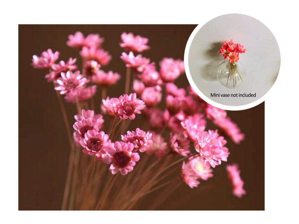 🎁Hot Sale 49% OFF🌸- Mini Vase Fridge Magnet
