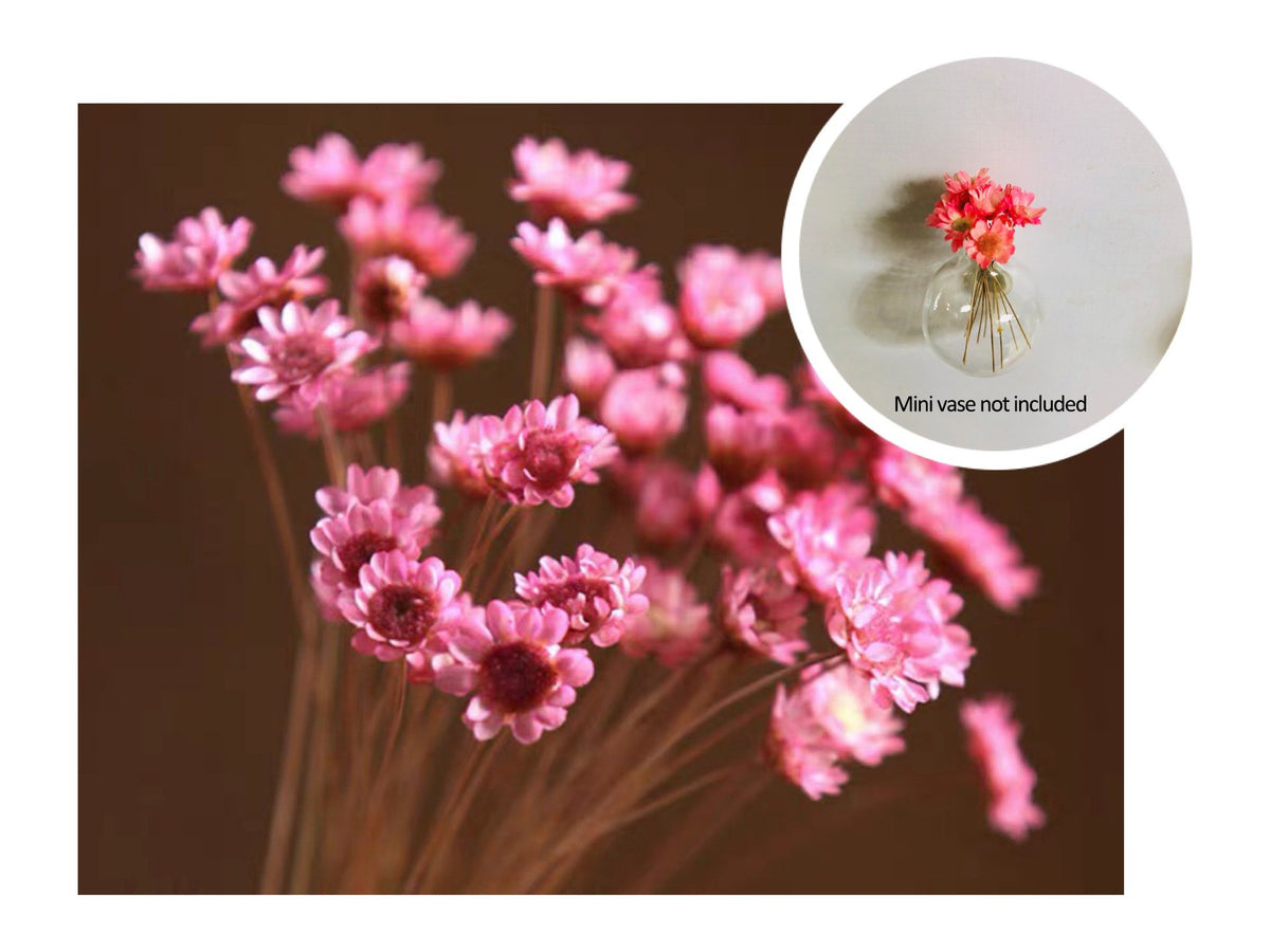 🎁Hot Sale 49% OFF🌸- Mini Vase Fridge Magnet