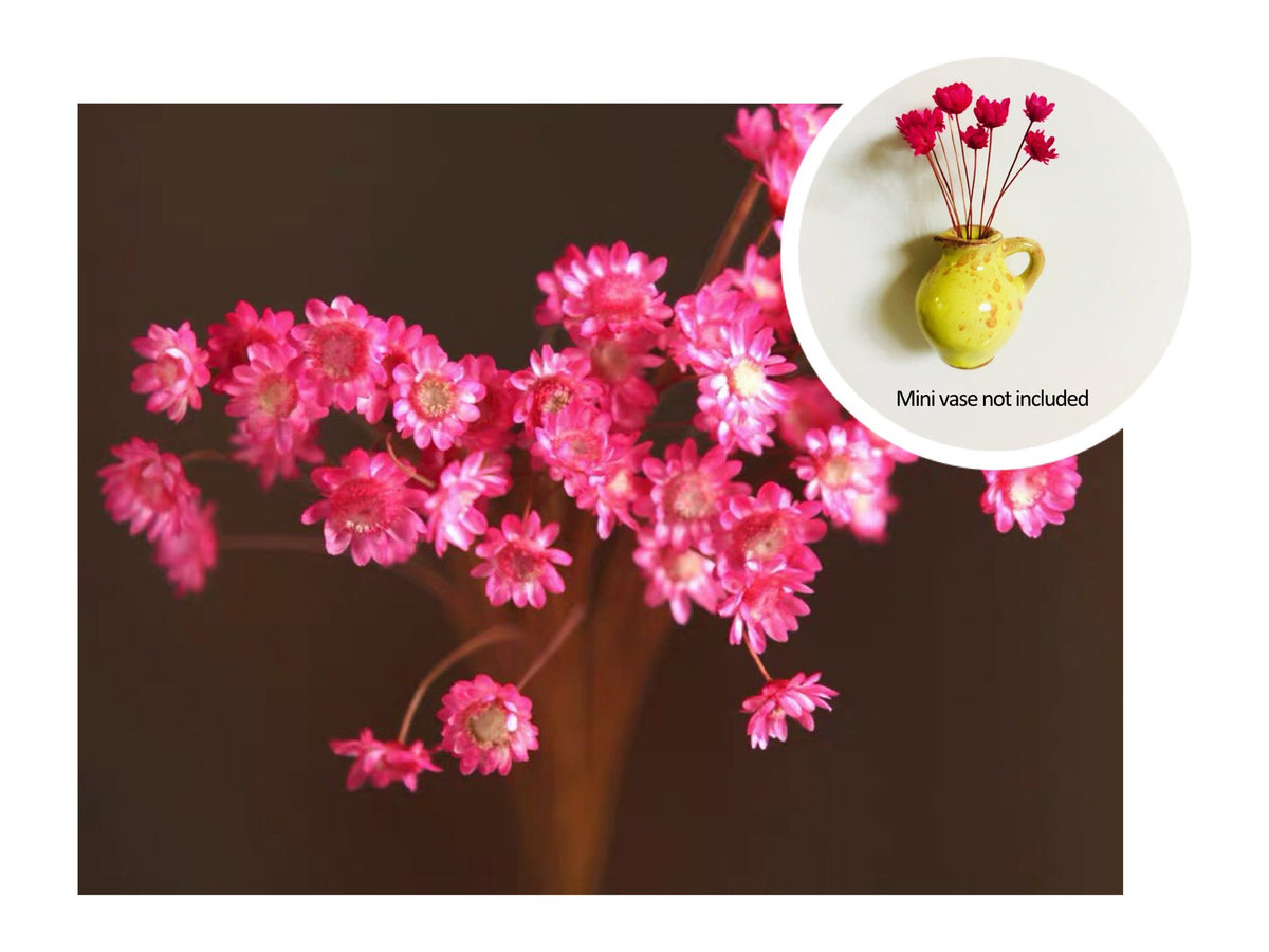 🎁Hot Sale 49% OFF🌸- Mini Vase Fridge Magnet