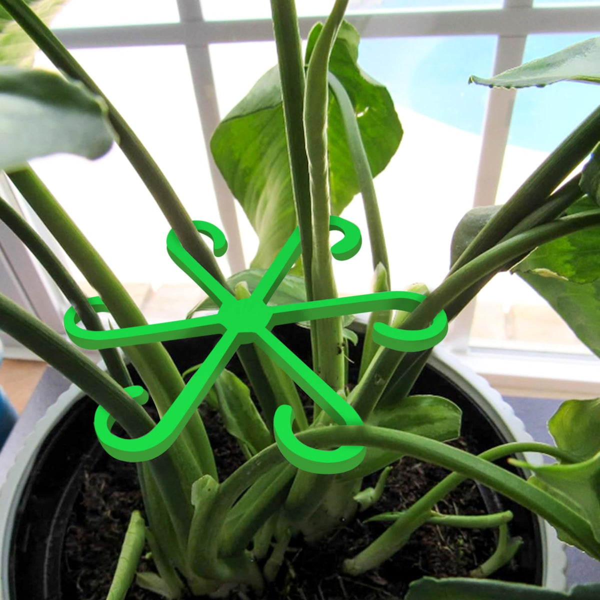 🔥Last Day 49% OFF -🌿Plant Stem Support Set