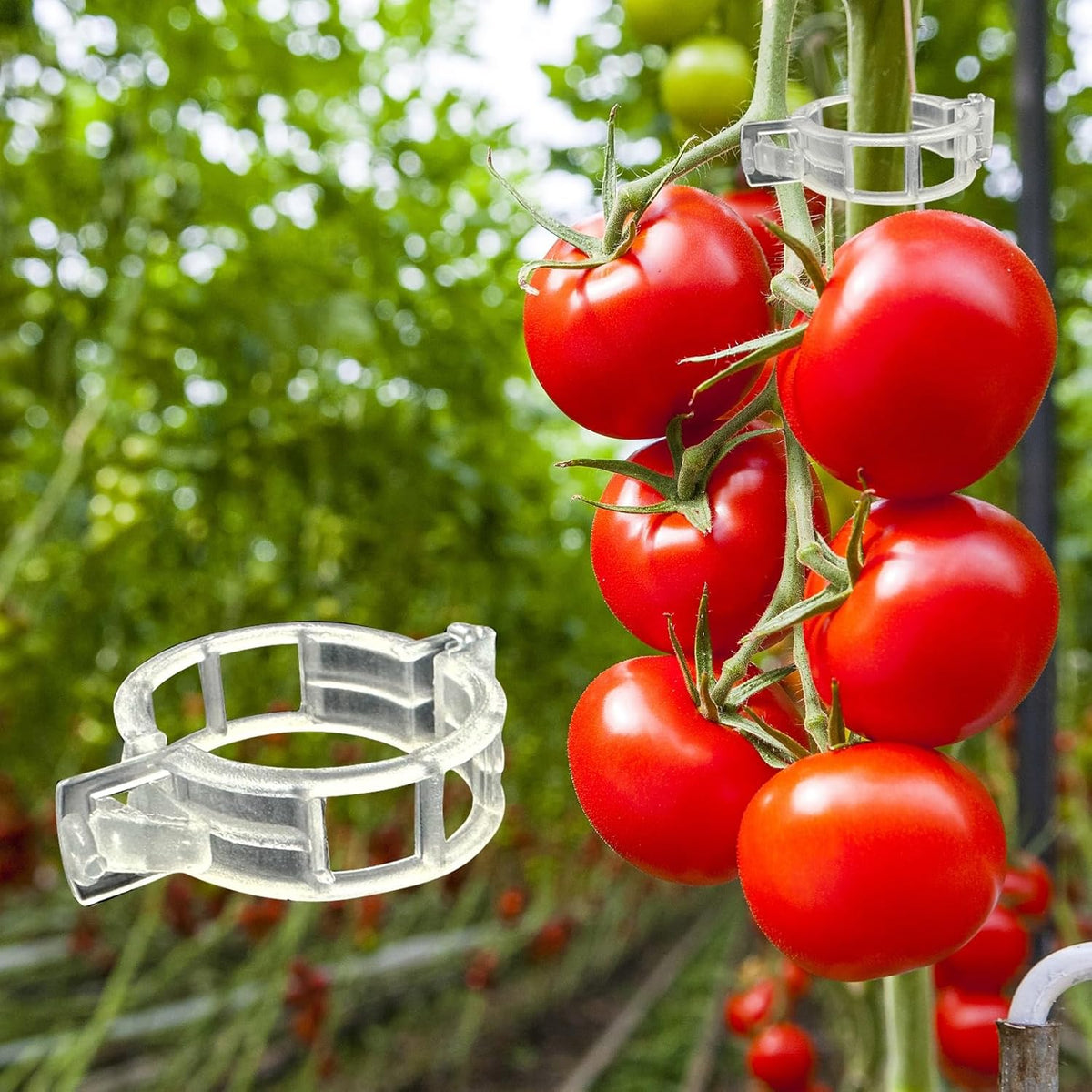 Vegetable Plant Support Clips